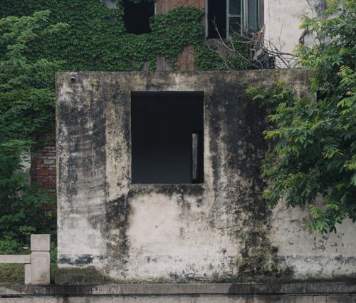 Free A worn building facade, partially covered with ivy, suggests urban decay and natural reclamation. Stock Photo