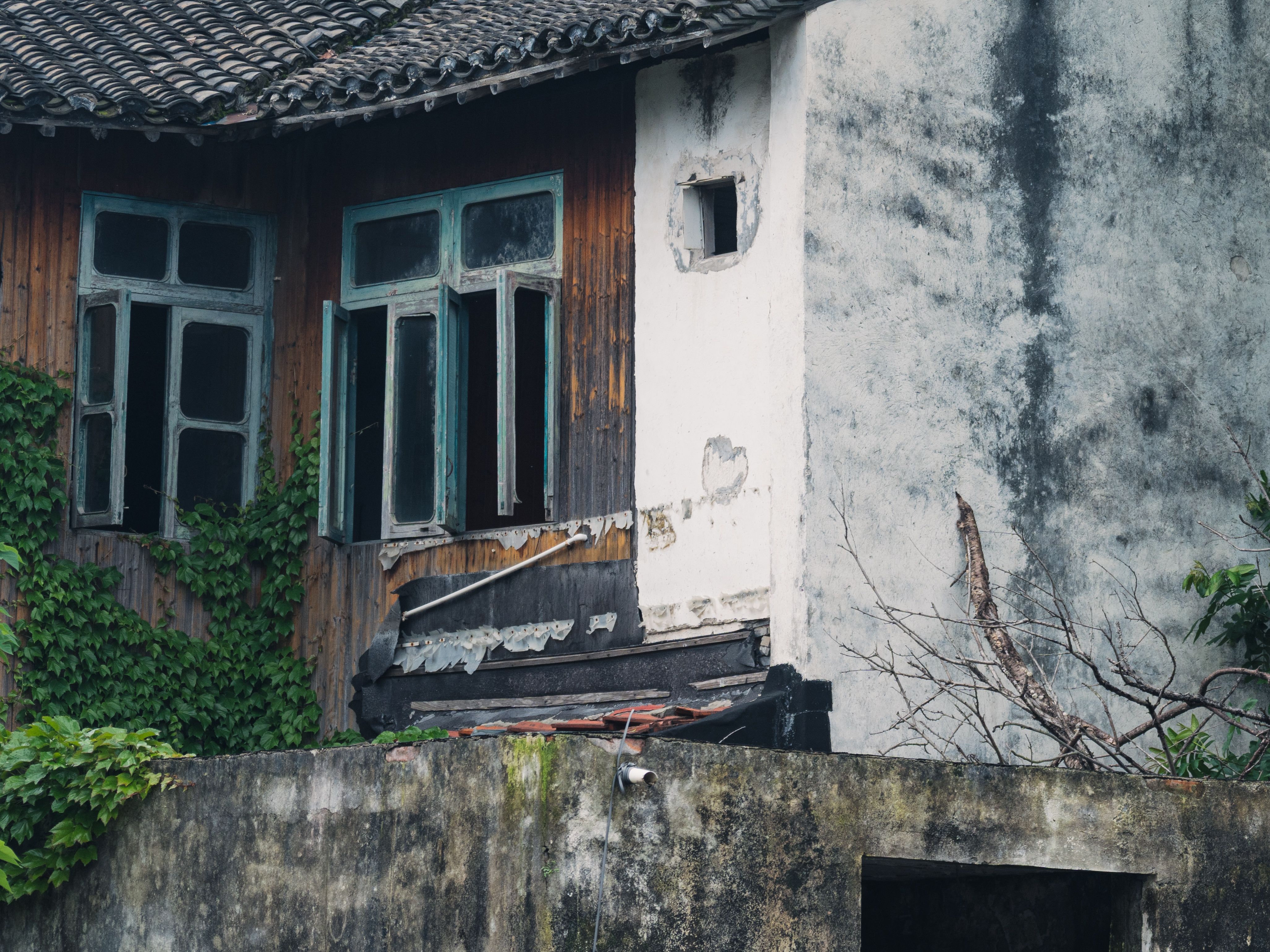 A dilapidated rustic house facade with wooden windows, peeling paint, and ivy growth.