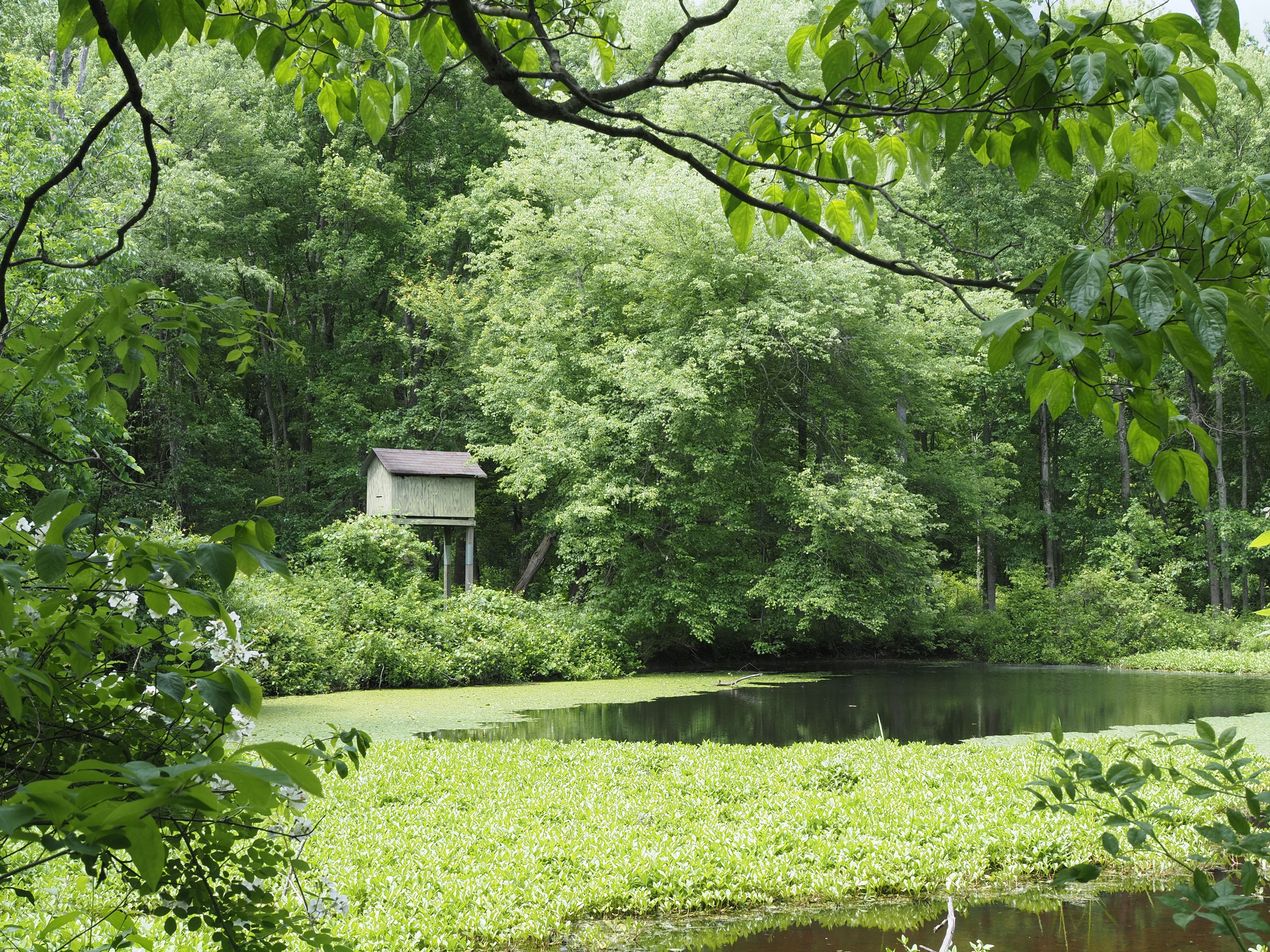 A sanctuary to slow down, reflect, and recharge