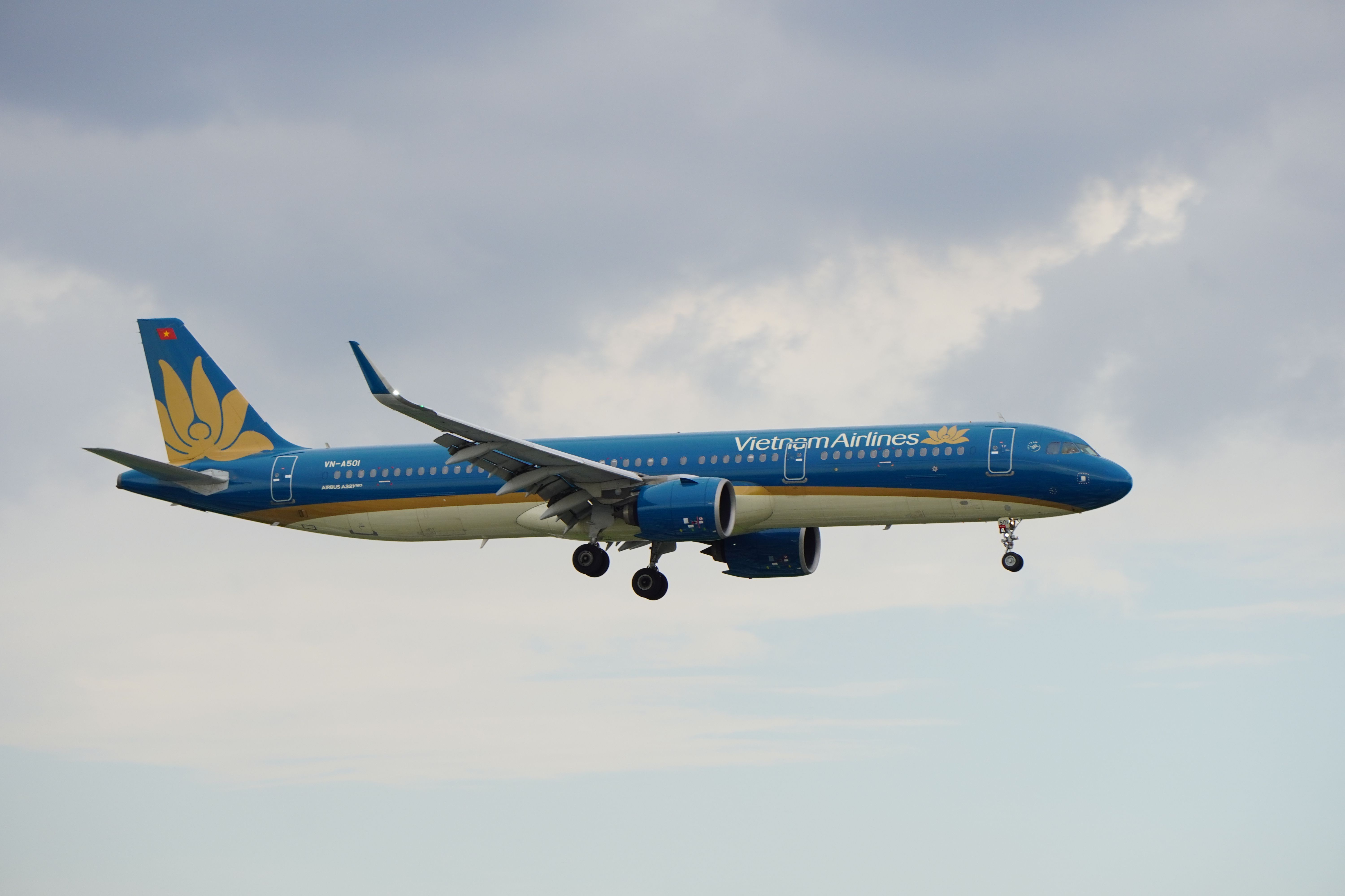 Vietnam Airlines Airbus A321 jet flying against a cloudy sky, showcasing aviation and travel themes.