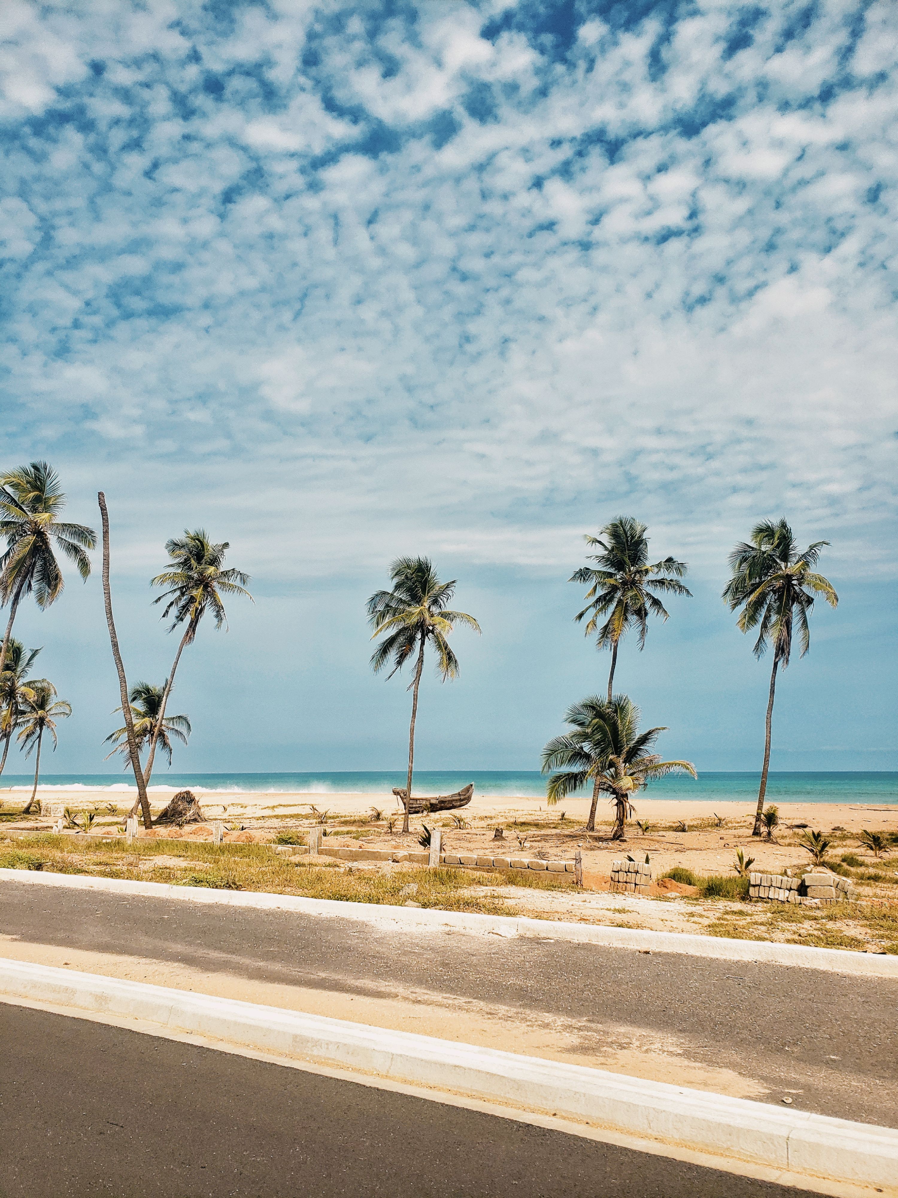 A serene tropical beach scene with coconut palms and a vivid blue sky, perfect for relaxation imagery.