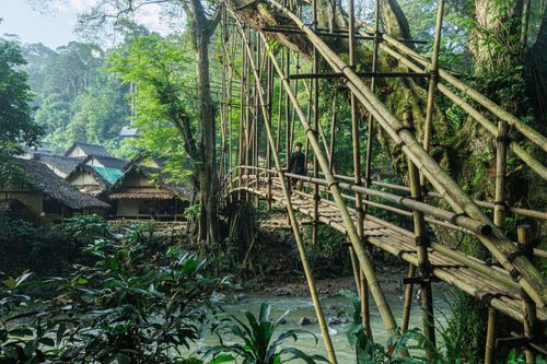 Free A scenic view of a bamboo bridge and traditional houses in a lush forest, Banten, Indonesia. Stock Photo