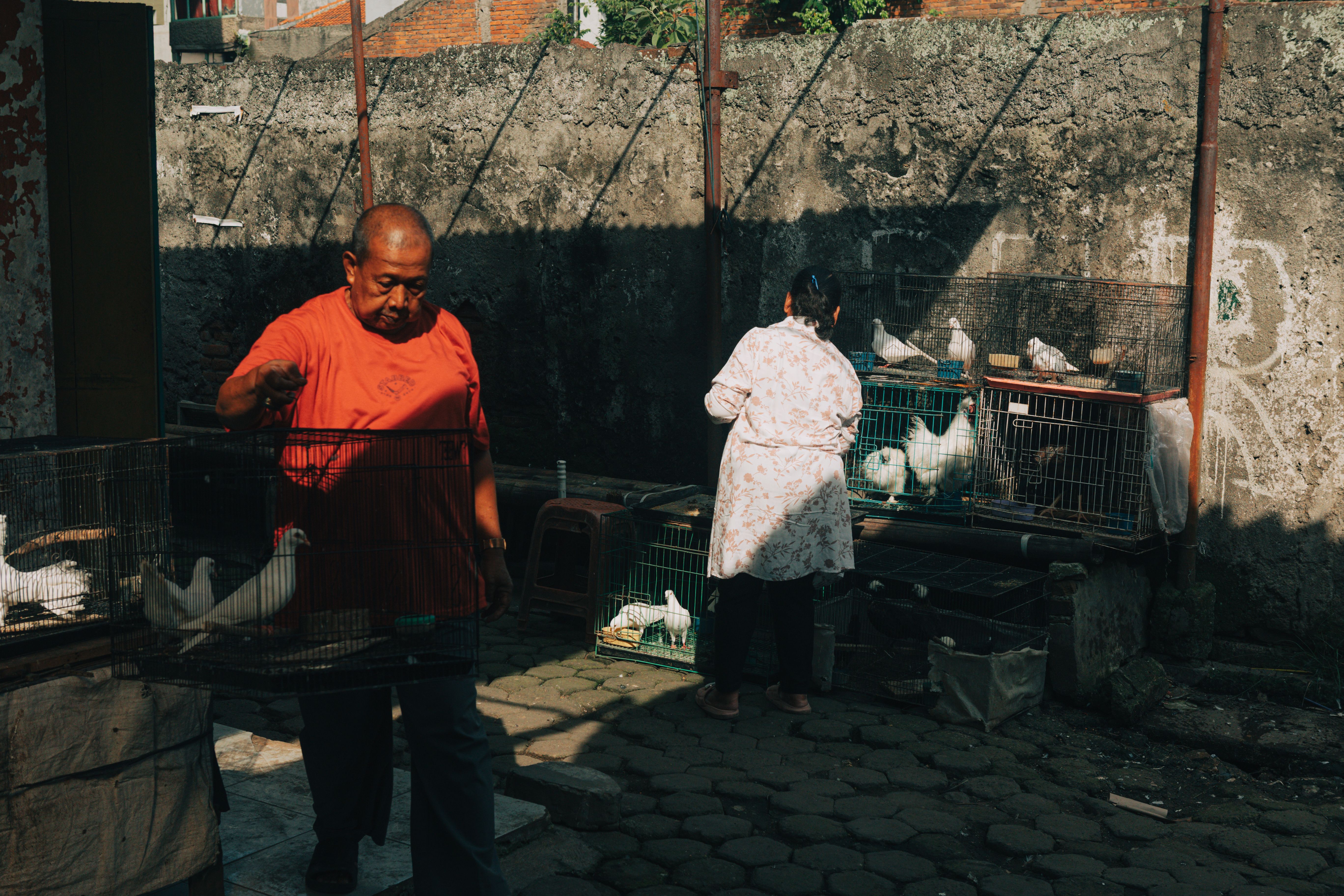 Outdoor market in Indonesia with people selling birds. Captures daily life and local culture.