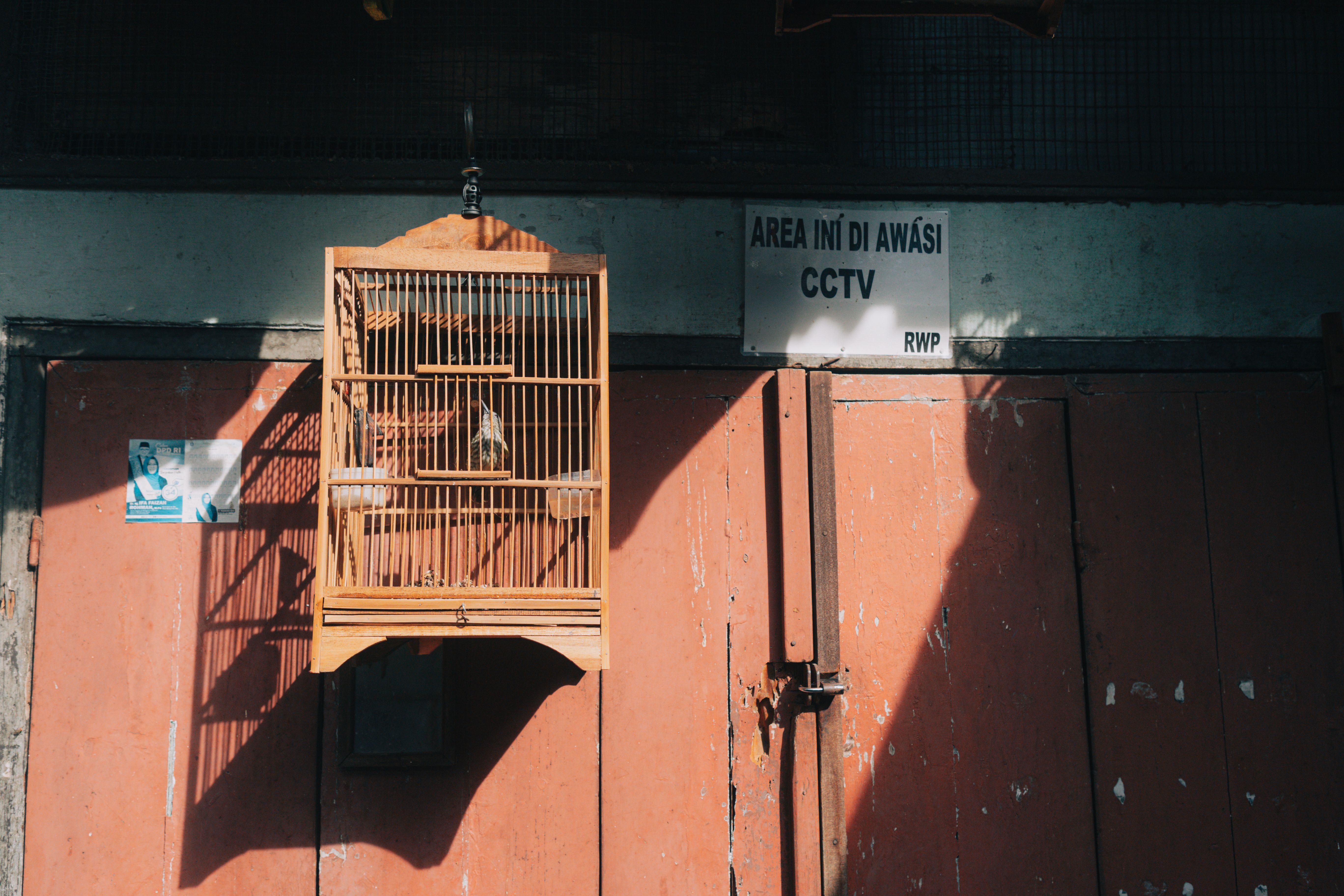 Wooden birdcage hanging on wall beneath CCTV sign in bright sunlight.