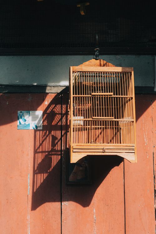 Free Wooden bird cage casting shadow on rustic wall in Jawa Barat, Indonesia. Stock Photo