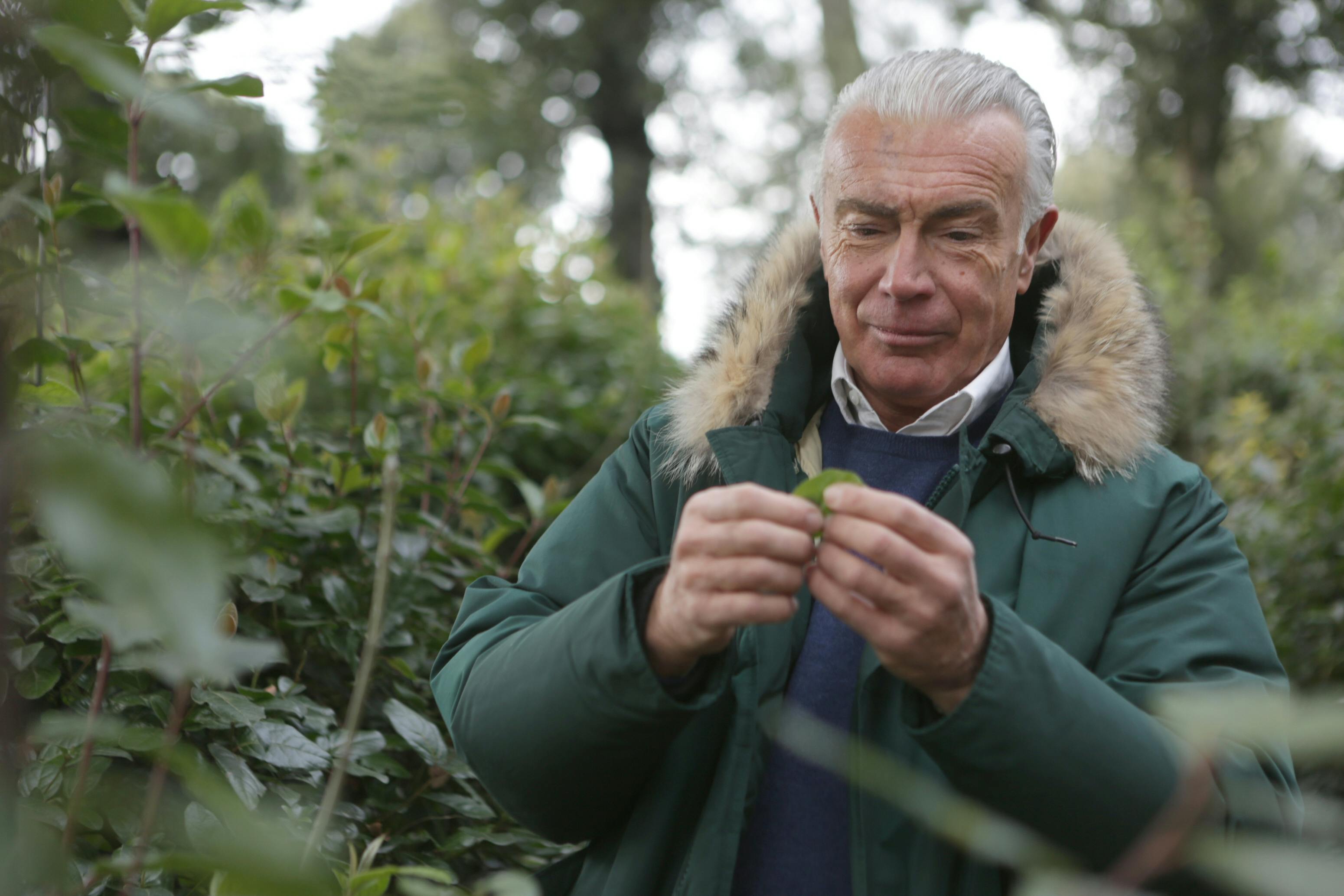 Tottenham chief 'placed on gardening leave' as summer shake-up continues — Photo by Andrea Piacquadio on Pexels