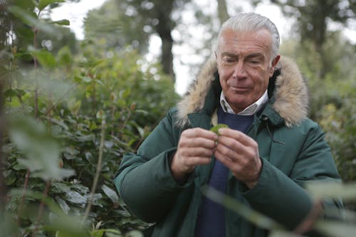 Man in Green Jacket Holding a Green Leaf