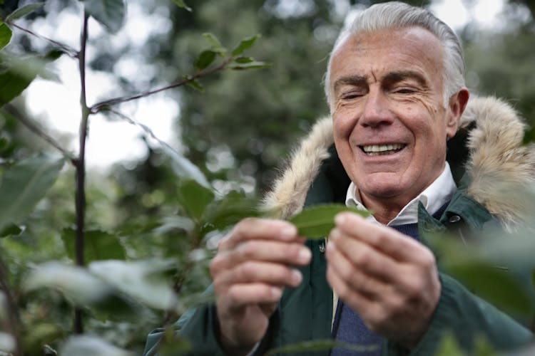 Man In Green Jacket Holding A Leaf