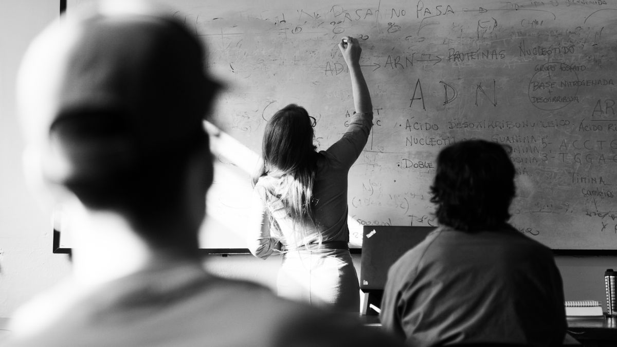 Carrières dans léducation