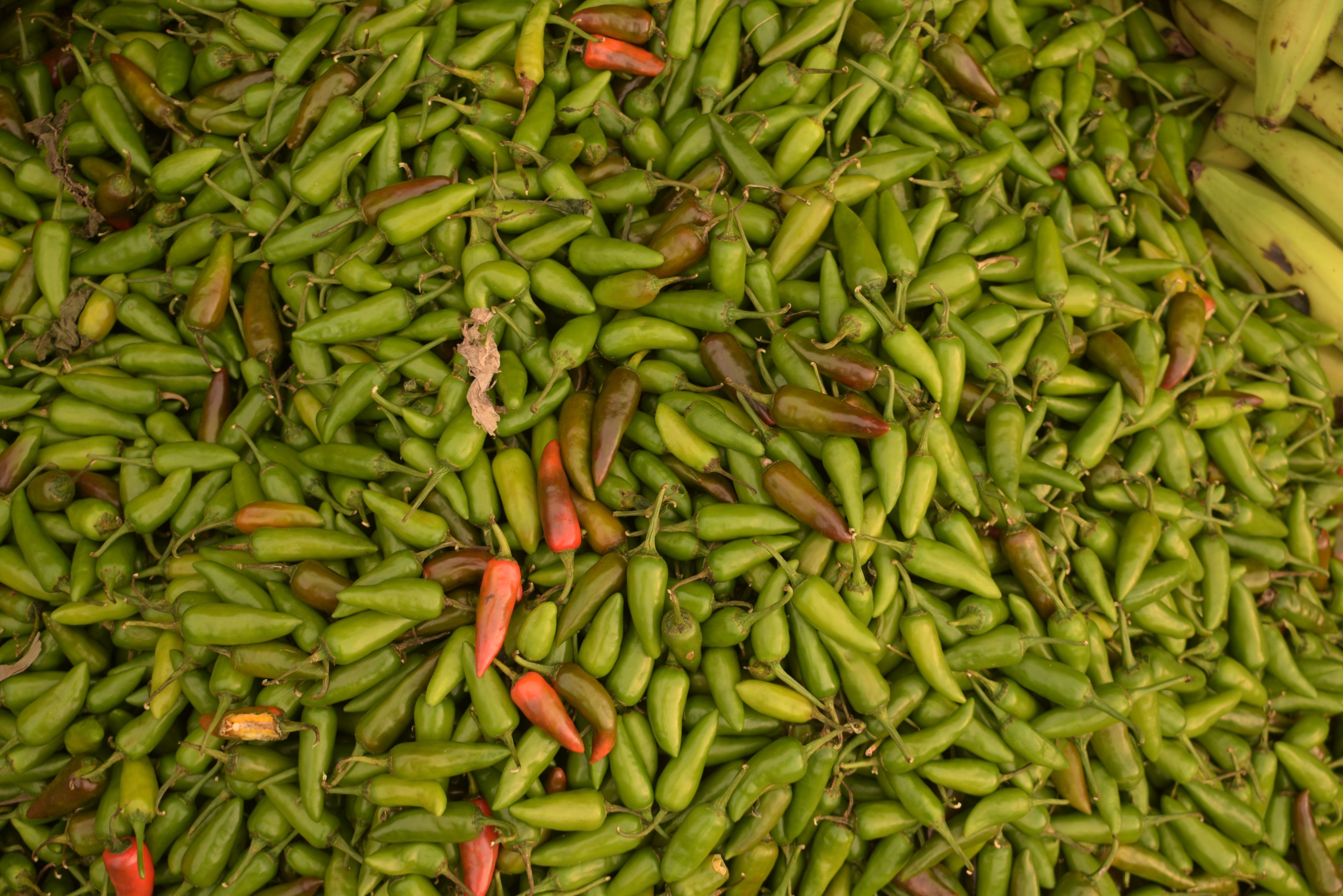 Stir-fry vegetables sizzling with seasoning in a pan