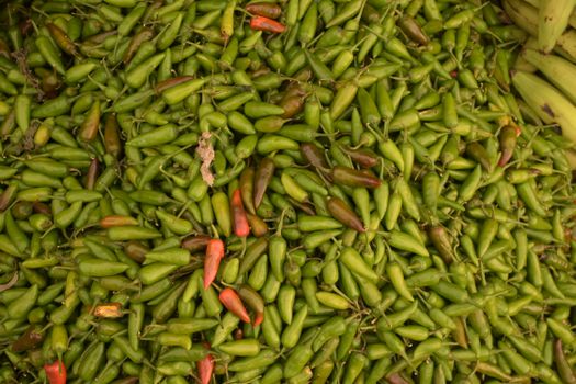 A vibrant display of fresh green and red chilies piled together, perfect for culinary themes.