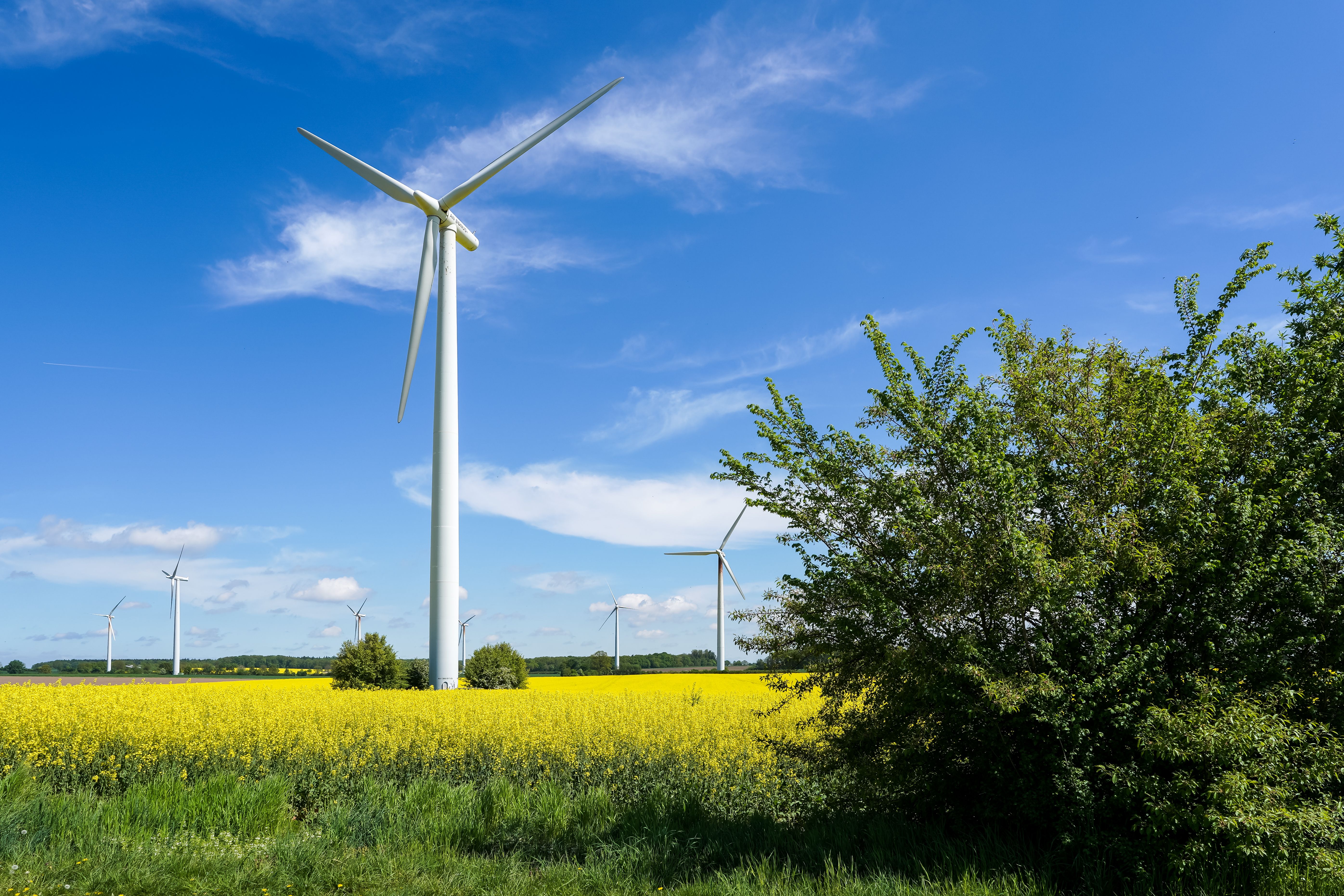 2019 Wind Energy Data &amp; Technology Trends — Photo by Wolfgang Weiser on Pexels