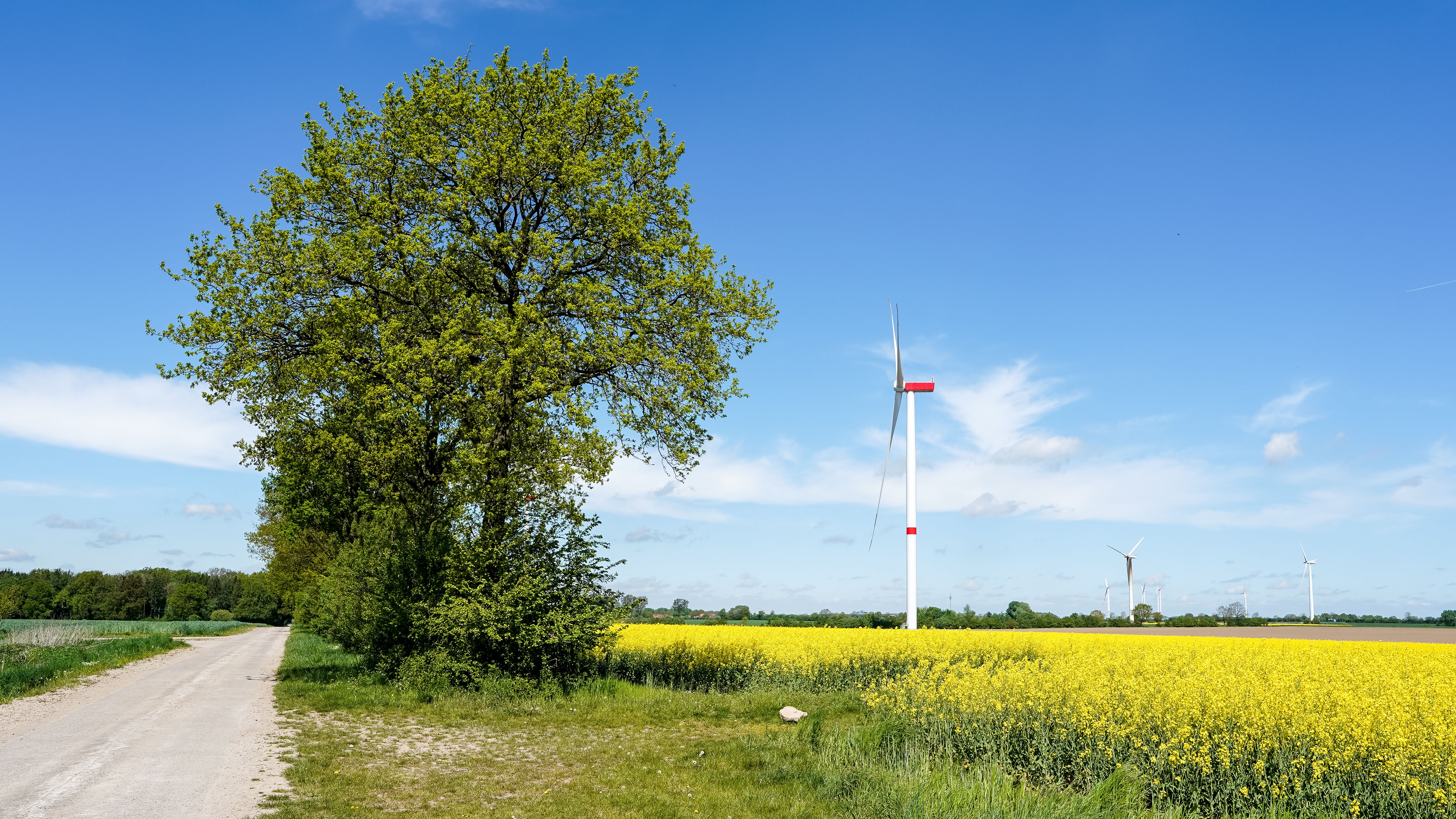 Windräder und erneuerbare Energien in der Natur