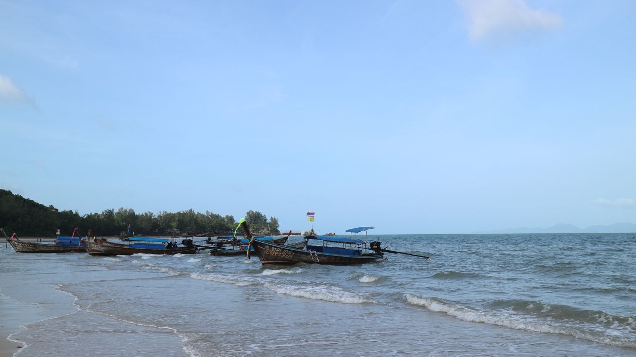 Traditional Thai longtail boats anchored along a calm shoreline