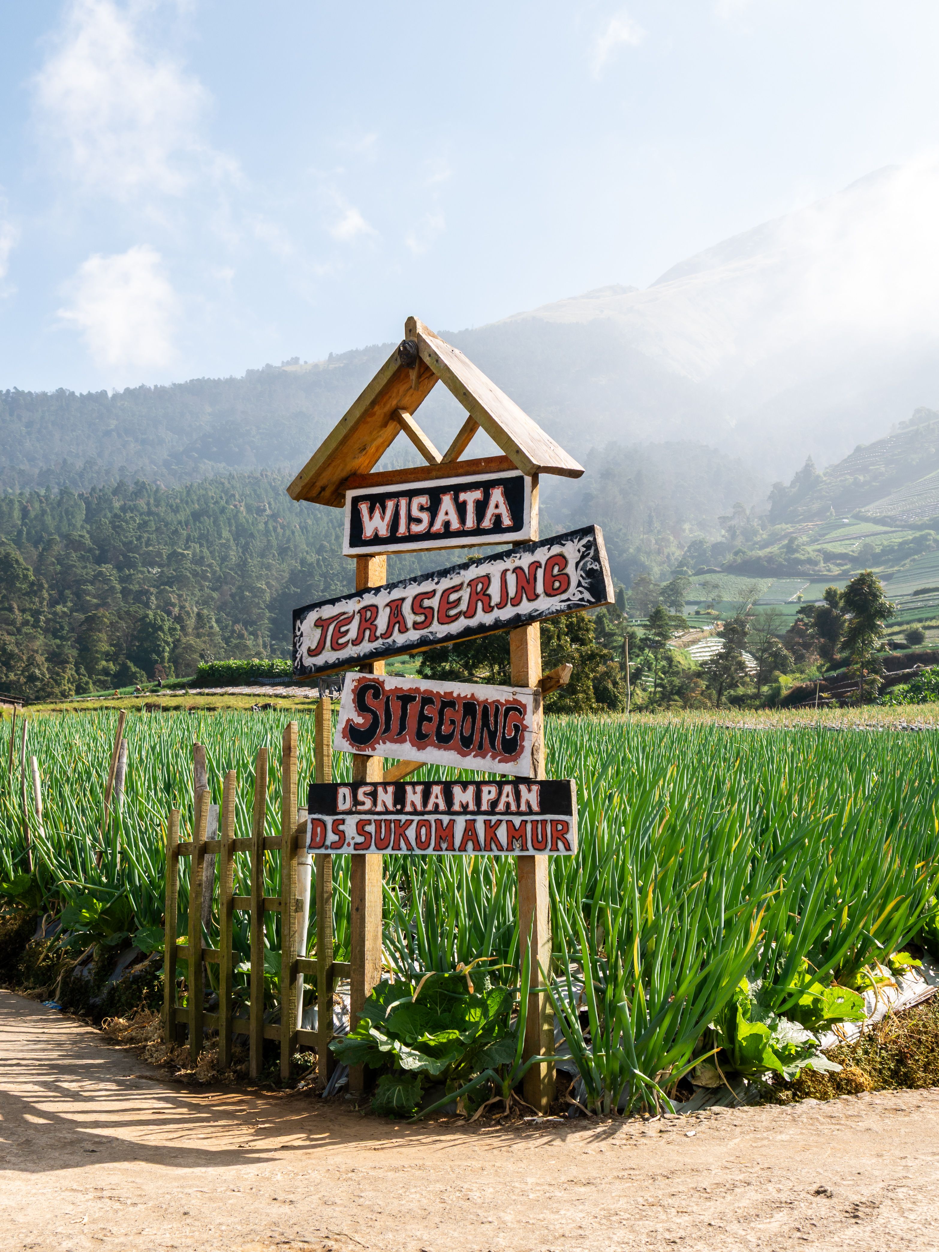 Explore the picturesque terraced fields of Terasering Sitetong in Central Java, surrounded by lush greenery. - Fotografer Sidoarjo