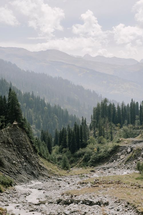 Free Breathtaking view of a mountain valley and pine forest under a cloudy sky, showcasing natural beauty. Stock Photo