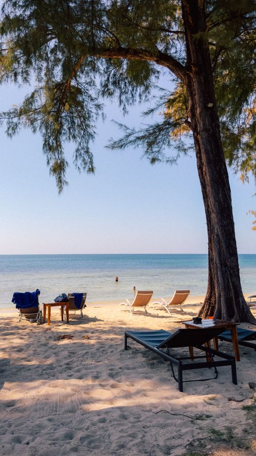 Free Peaceful beach setting in Thailand with chairs, tables, and palm trees. Stock Photo