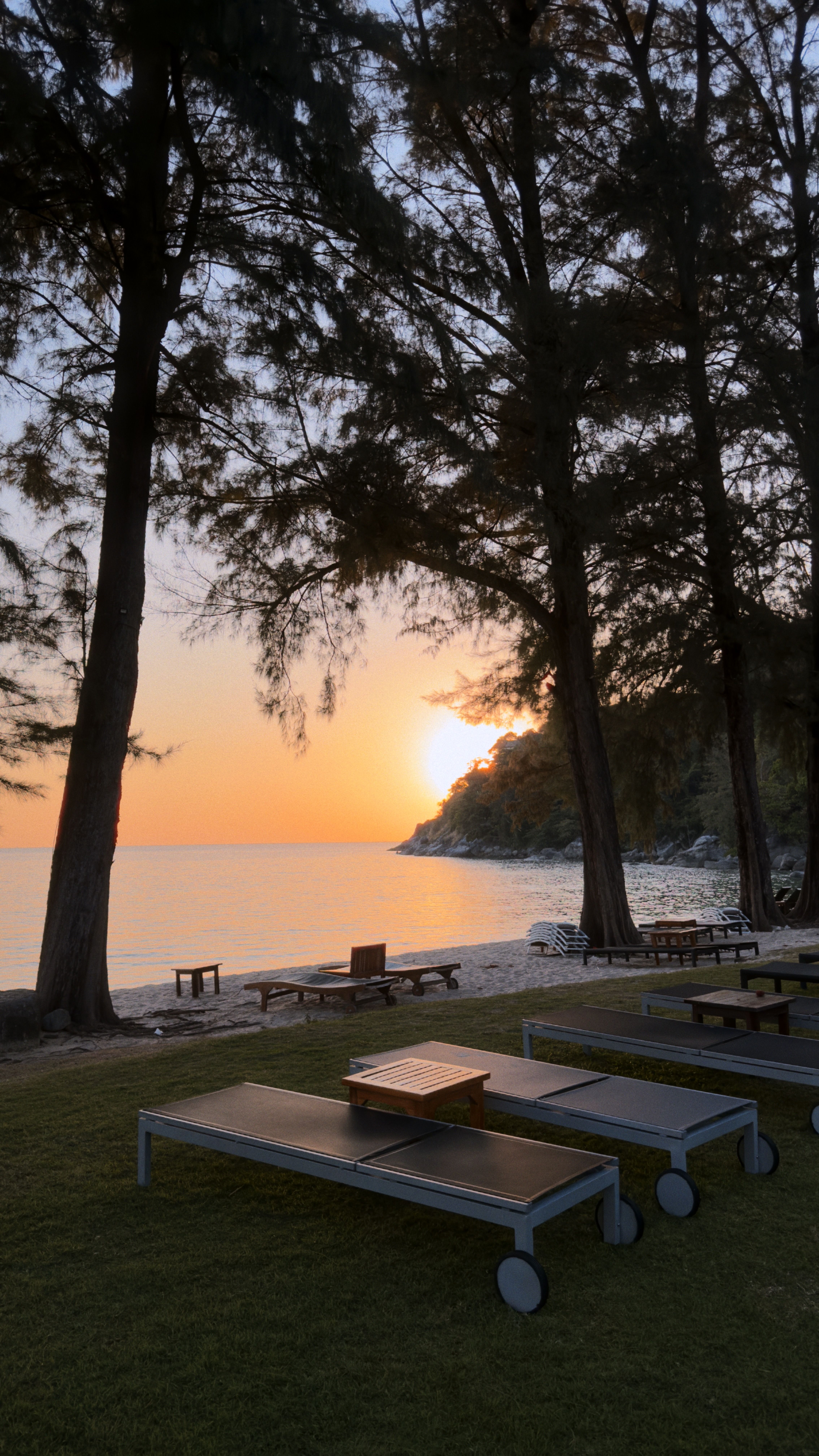 Sunset over a pine-lined Thai beach, evoking Rayong's Suan Son casuarina-pine coastline