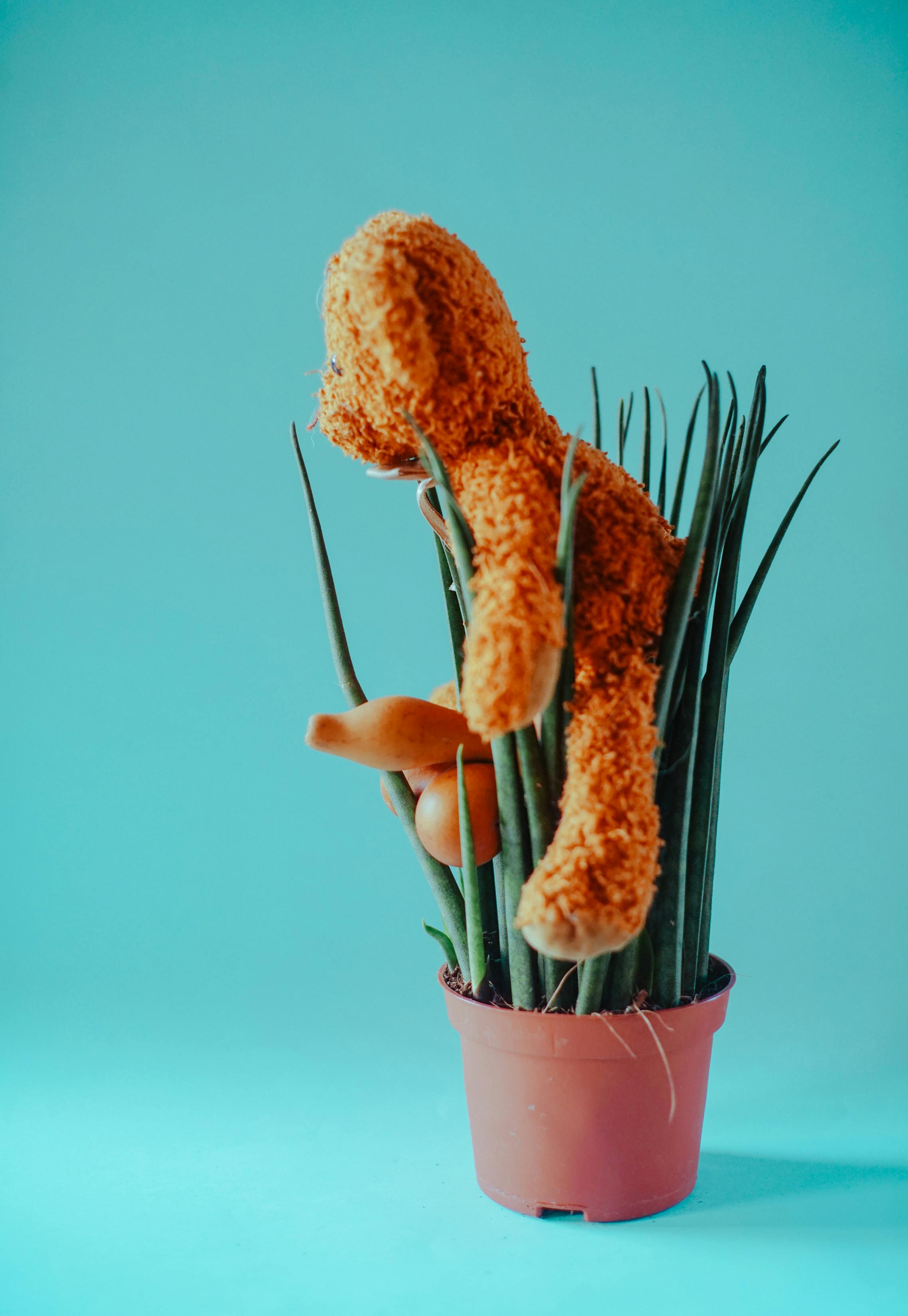 一只顽皮的橙色泰迪熊依偎在盆栽里，背景是充满活力的蓝色