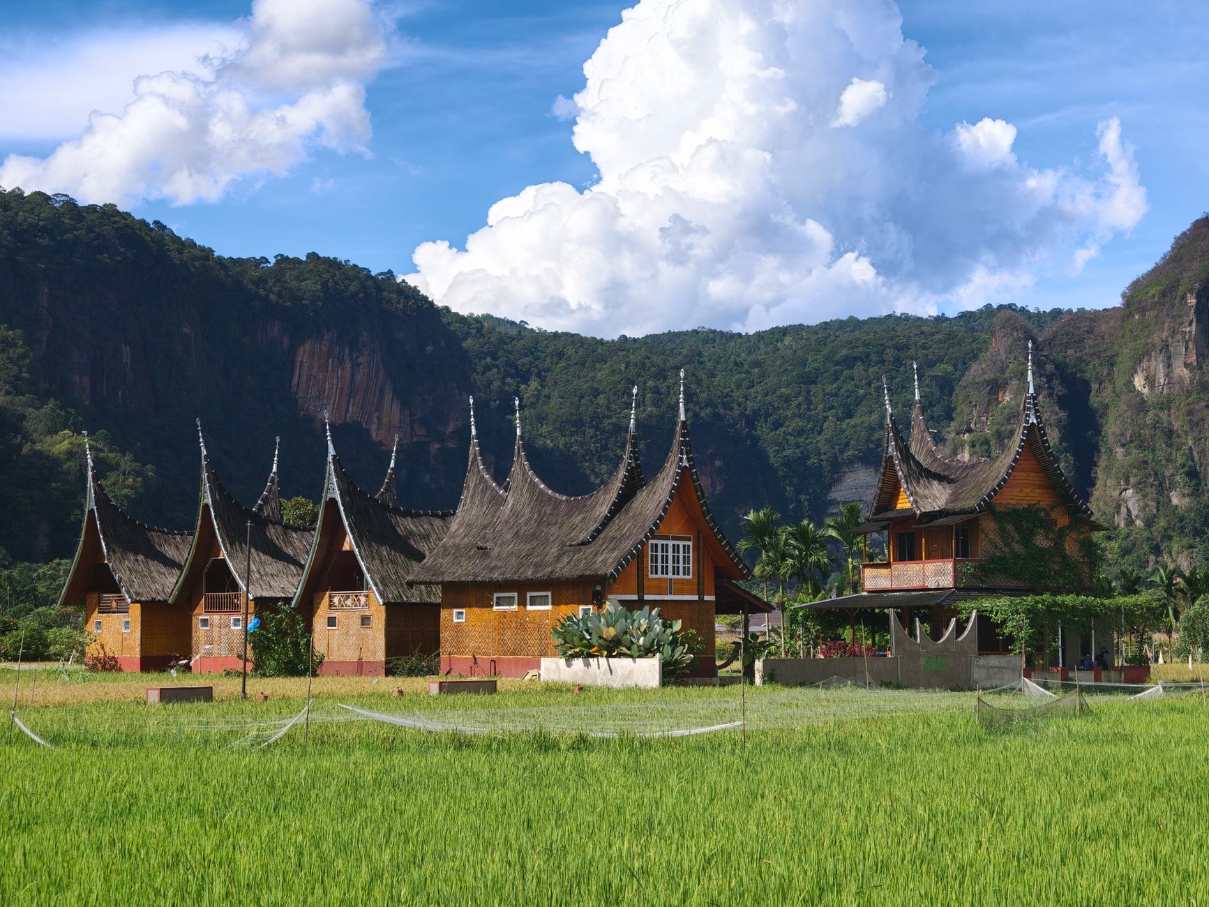 Scenic view of traditional Minangkabau houses amidst rice fields and mountains with clear blue skies.