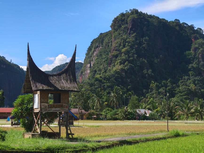 lagu toraja: panduan lengkap liburan yang wajib kamu tahu