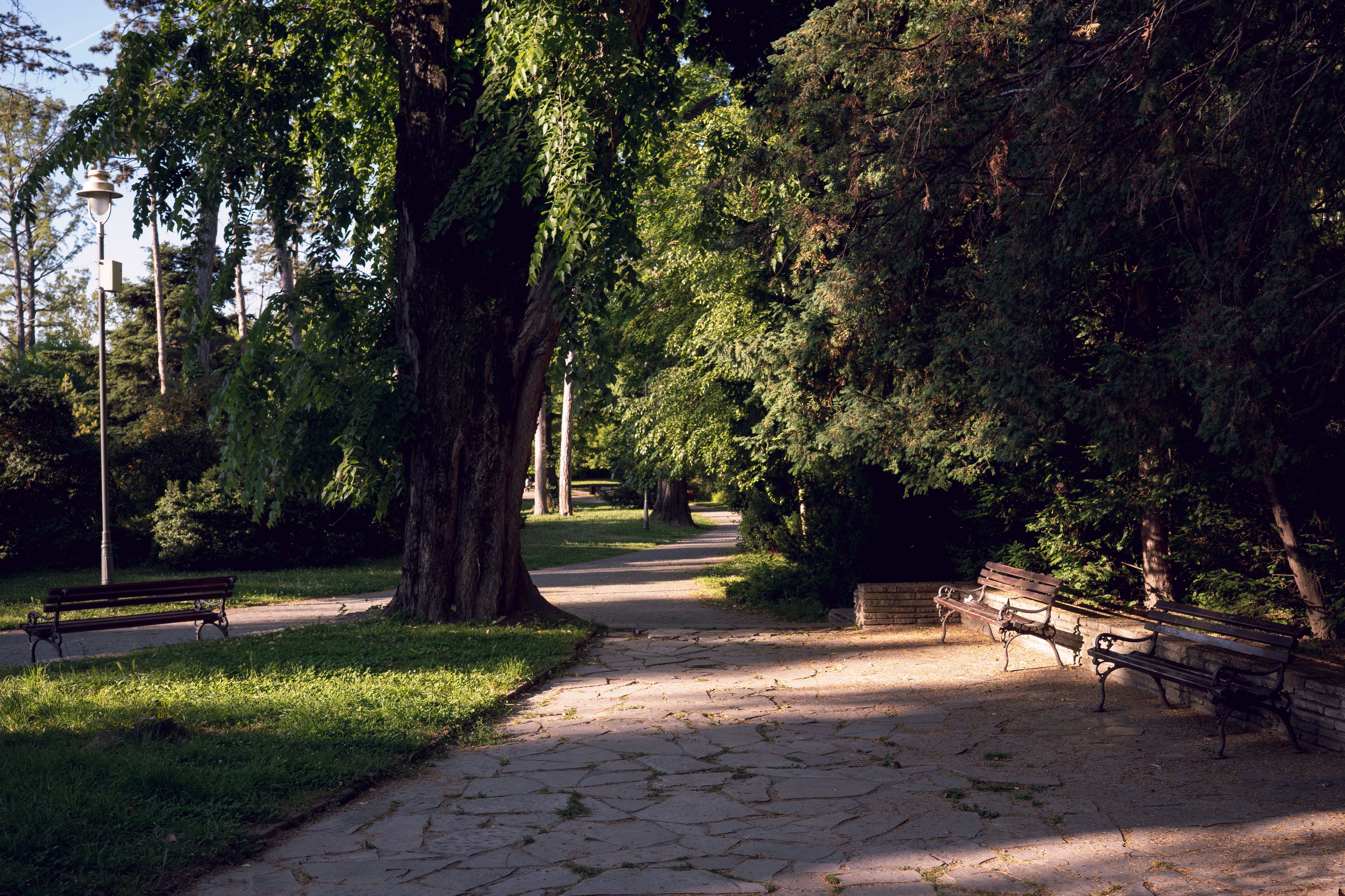 5 Reasons Families Love Living in Byron, London Ontario | Your Guide to This Sought-After Neighbourhood