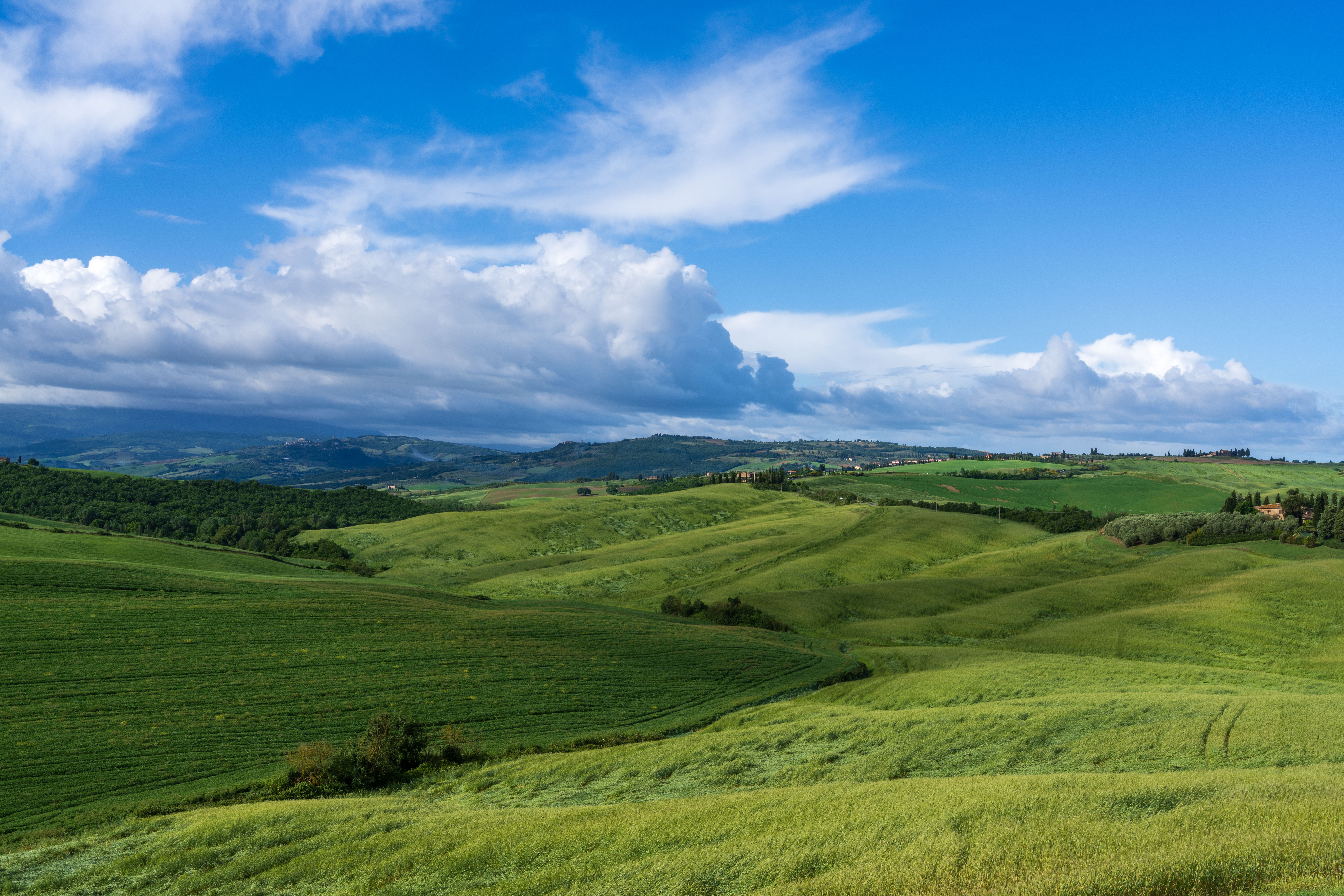 2 Day Earth Element Holistic Retreat in Tuscany, Italy 1