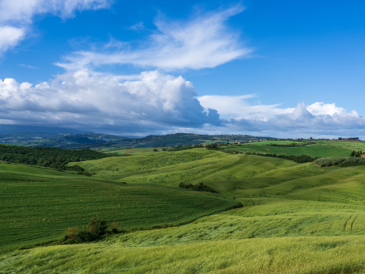 2 Day Earth Element Holistic Retreat in Tuscany, Italy 1