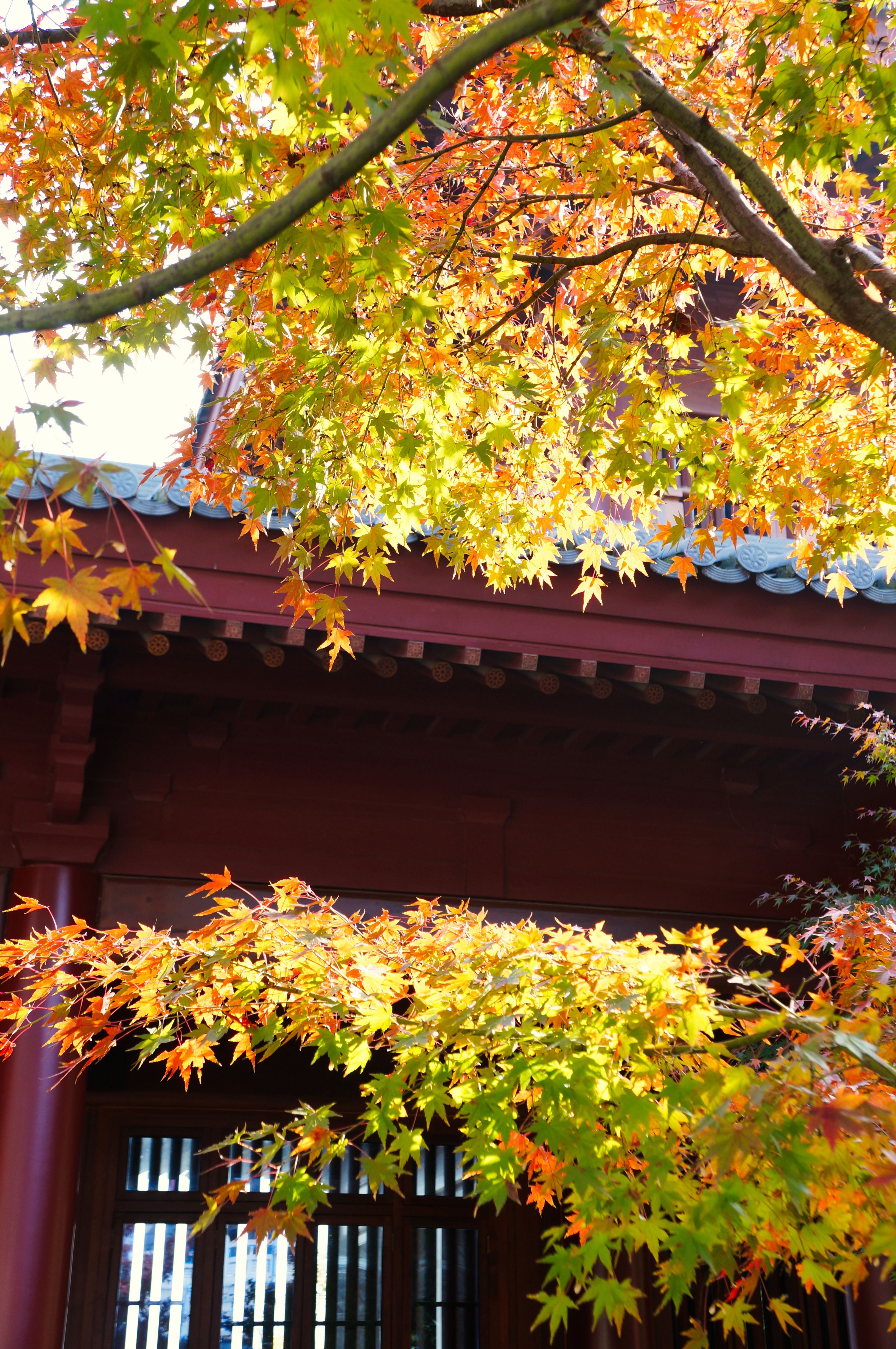 Zuiryuji Temple