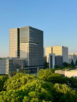Aerial view of contemporary buildings surrounded by greenery during daytime in Shanghai.
