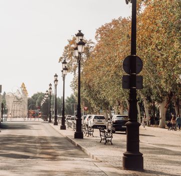 Picturesque street in Seville, Spain showcasing typical architecture and autumn foliage.