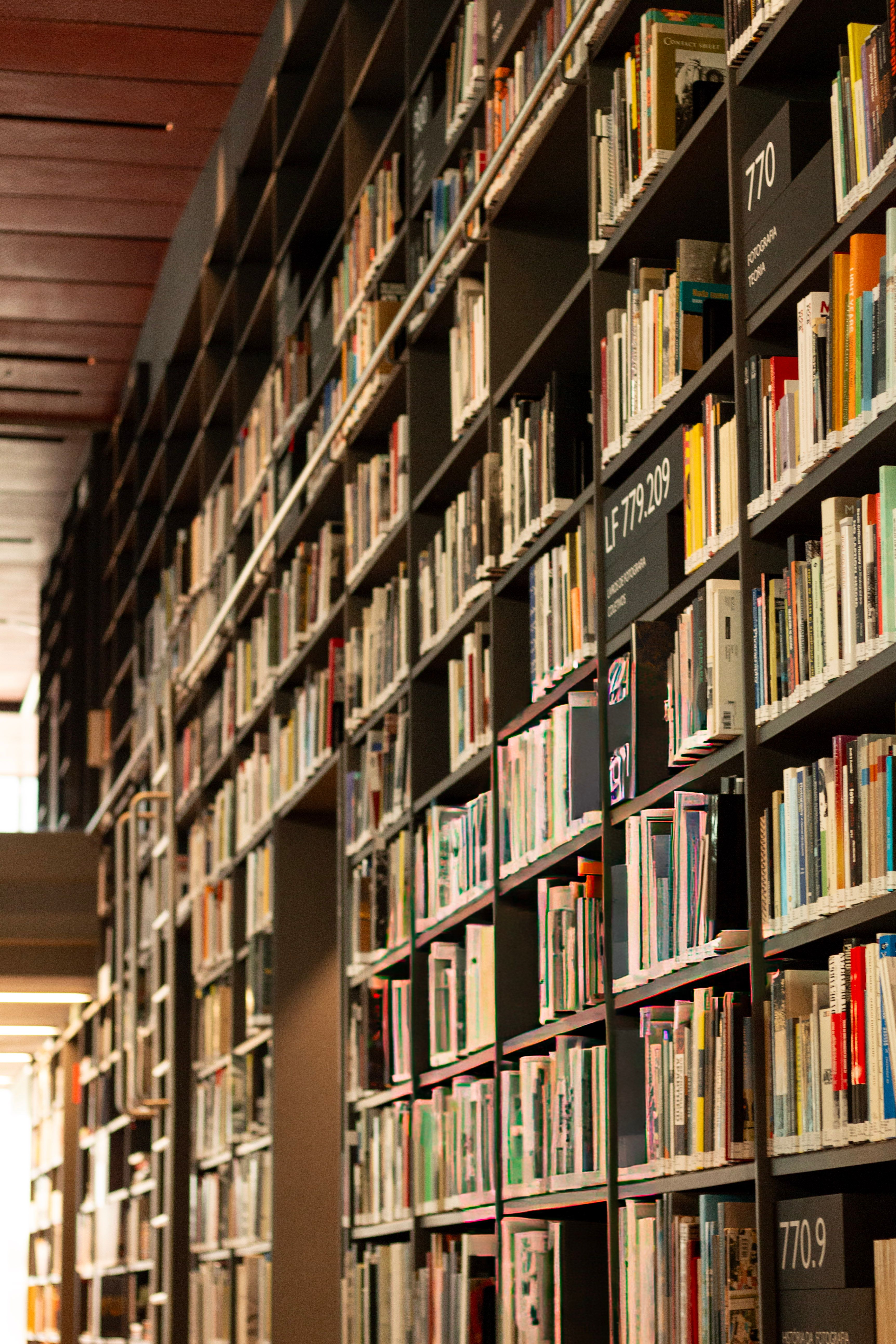 Explore a modern library interior filled with art books and organized bookshelves.