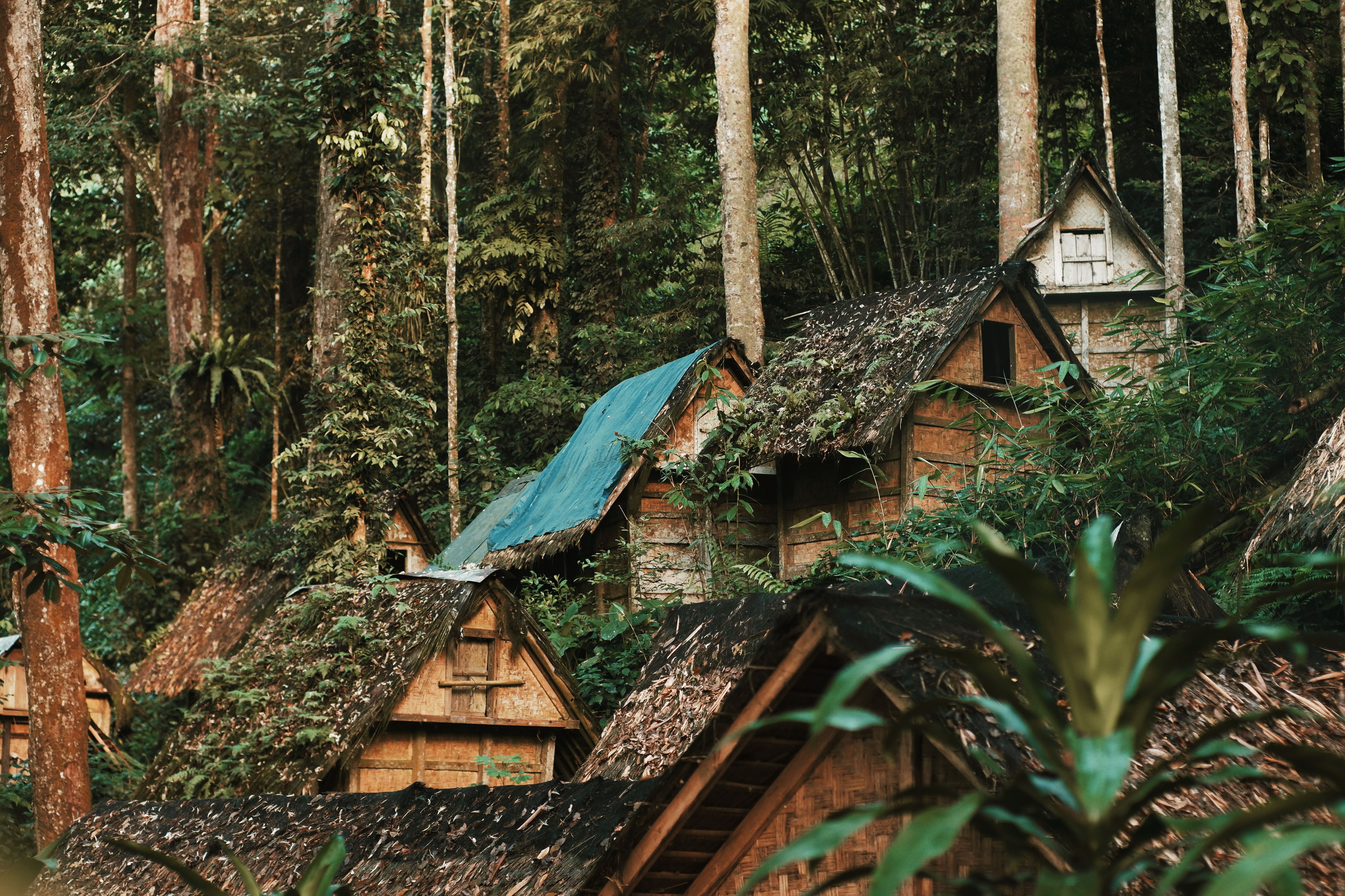 Traditional Village Scene in Banten, Indonesia · Free Stock Photo