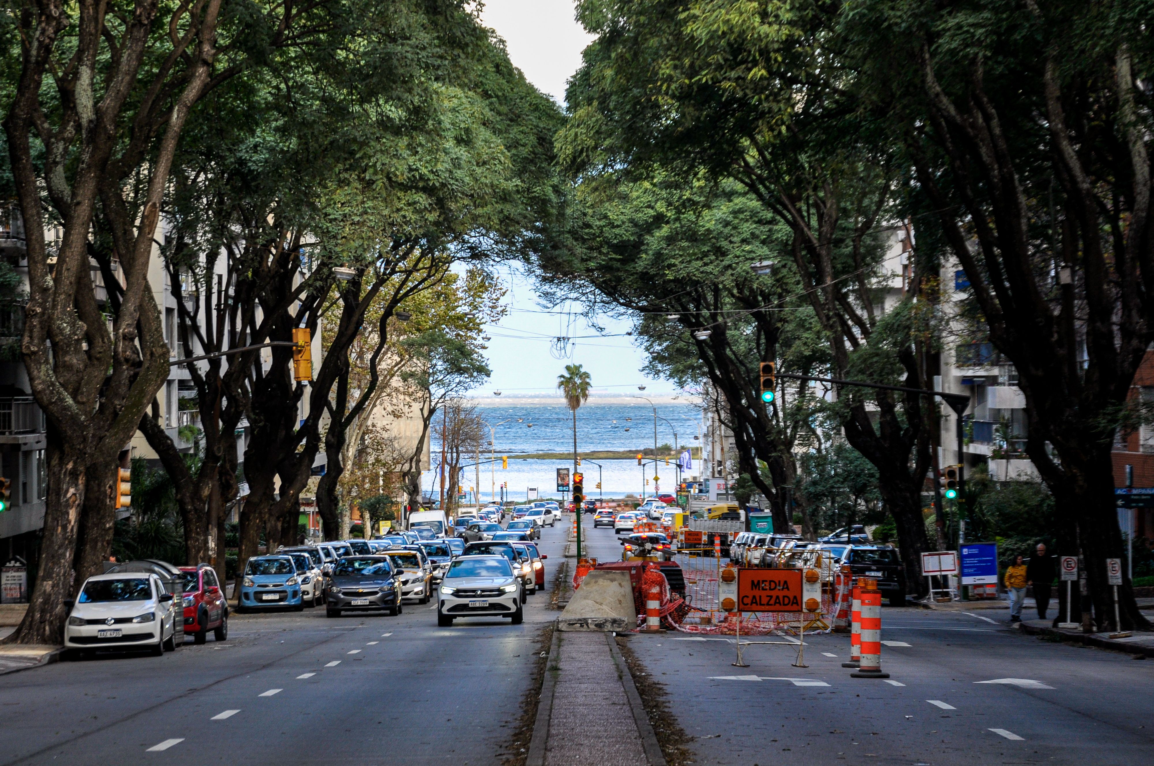 Trânsito agora Florianópolis: acidentes e rotas alternativas