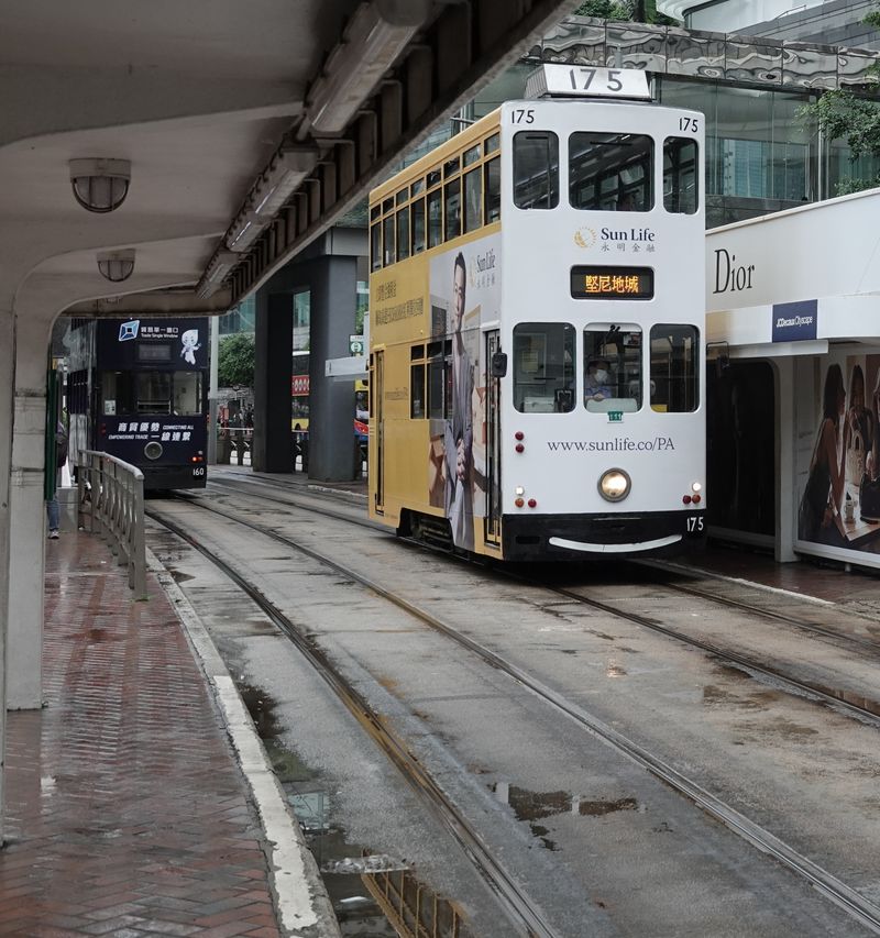 Double-decker tram in a rainy Hong Kong street scene, capturing urban life.