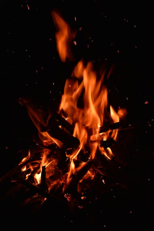 Free stock photo of bonfire, burning, burning wood
