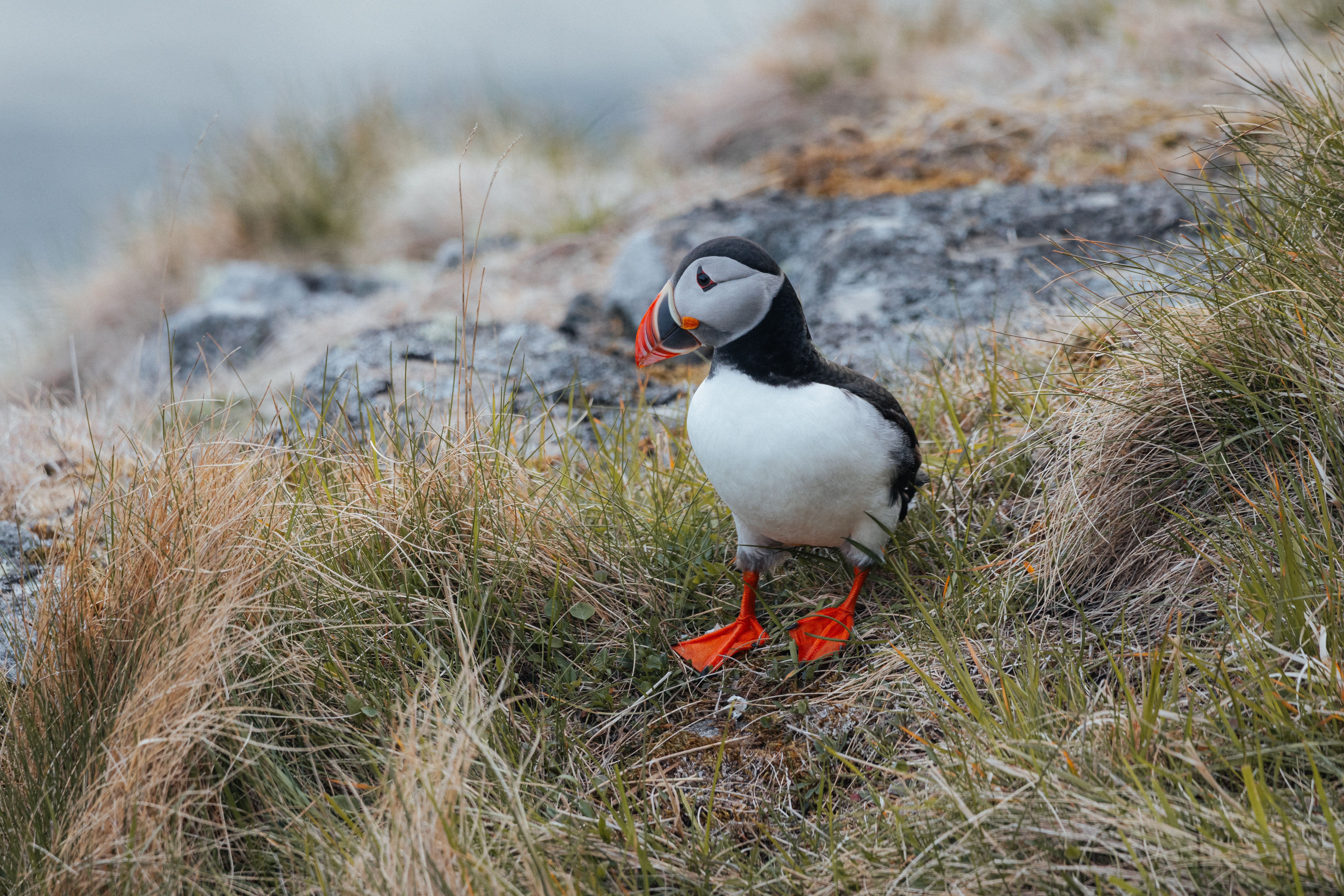Thawing ground, future questions: Decoding Arctic climate in a lab