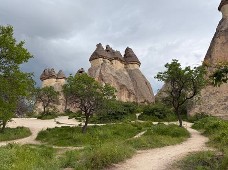 Stunning fairy chimneys in Göreme, Cappadocia, surrounded by greenery under a cloudy sky.