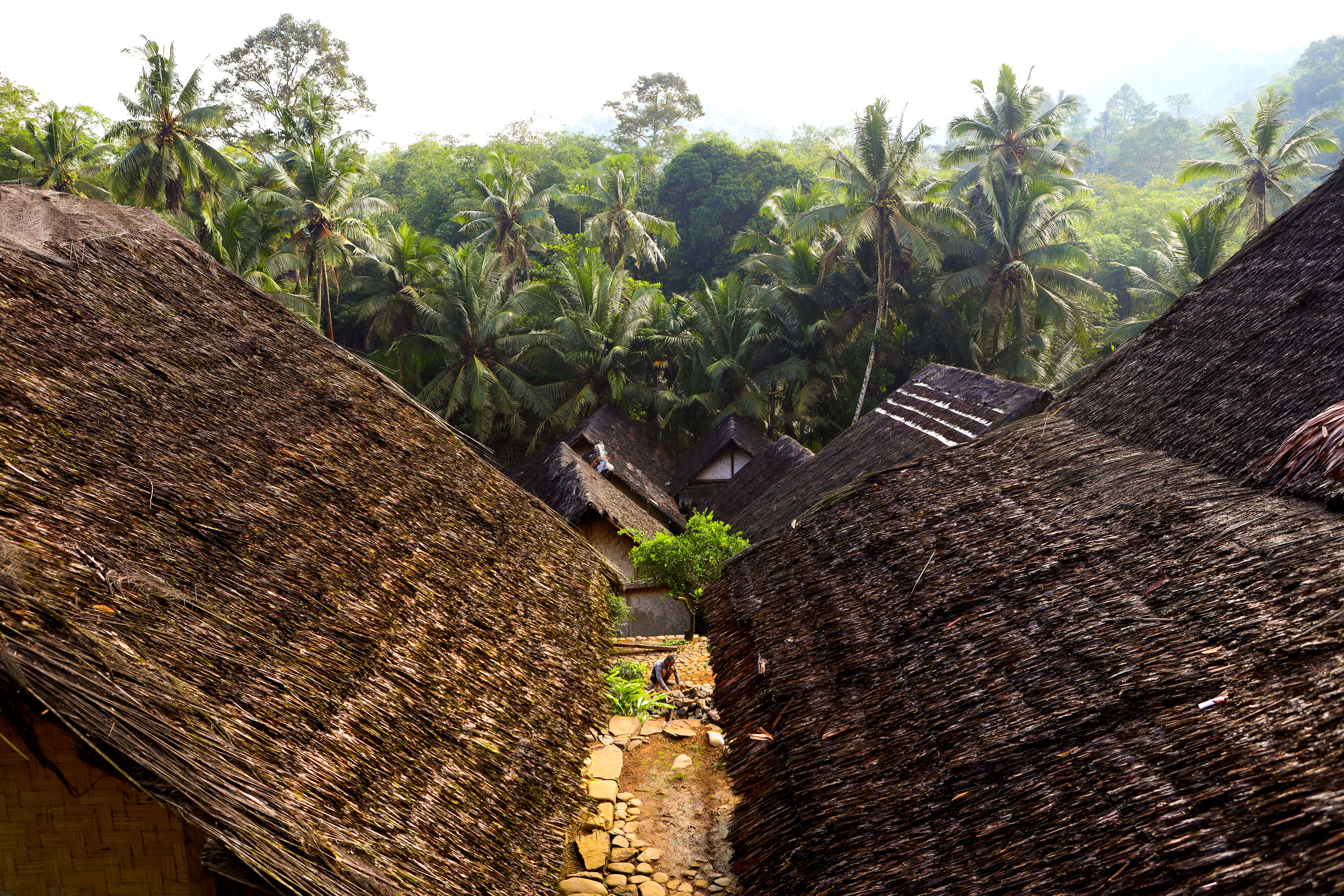 wisata budaya Dayak