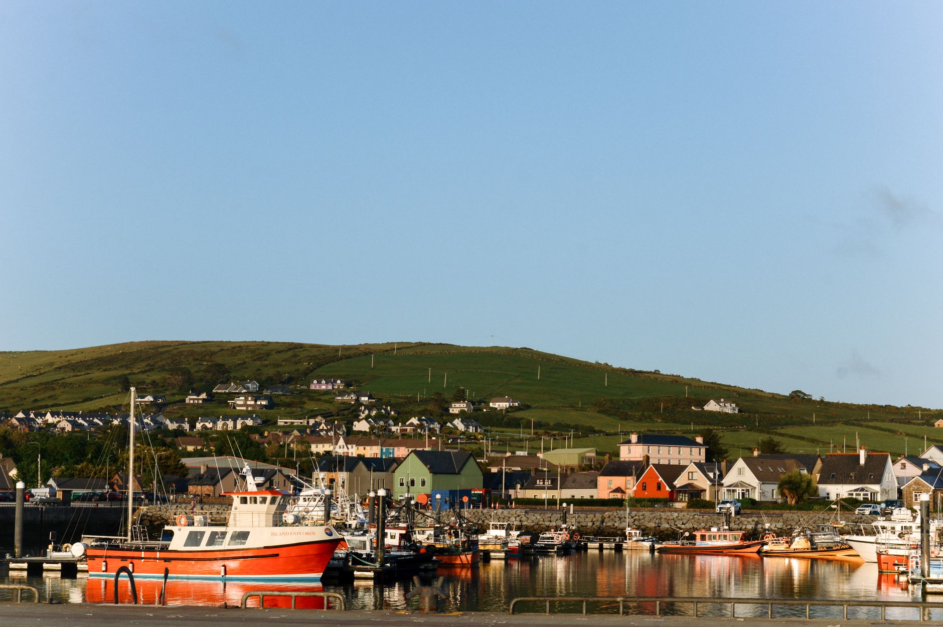 Dingle