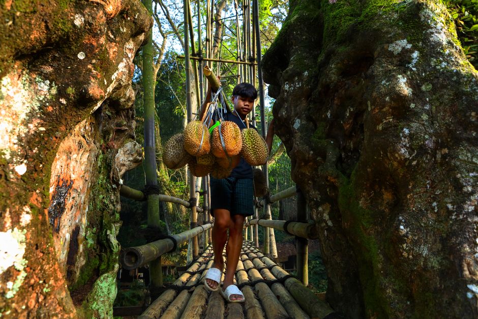 Cita Rasa Autentik: Menyantap Lempok Durian Baturaja yang Melegenda