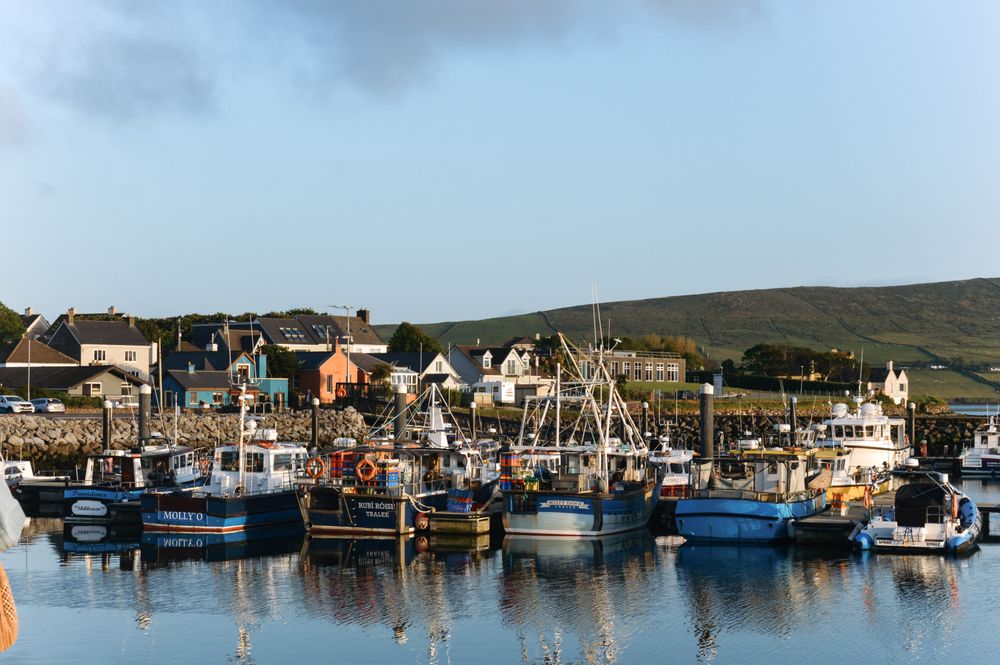 Port cu bărci de pescuit și case colorate în Dingle, Irlanda