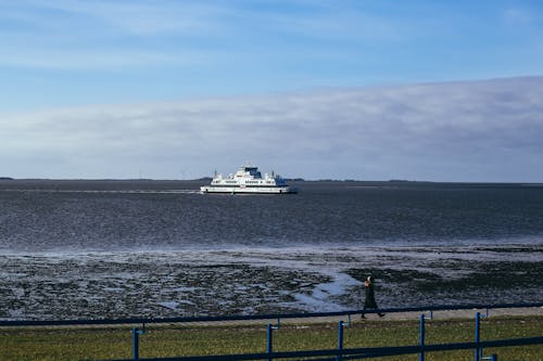 White and Blue Cruise Ship on Sea Under the Blu Sky