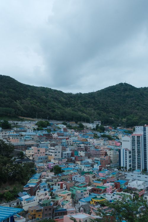 Free View of the vibrant and colorful Gamcheon Culture Village nestled in the hills of Busan, South Korea. Stock Photo