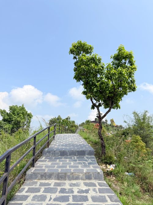 Free A picturesque walkway with stone steps and vibrant trees under a clear blue sky. Stock Photo