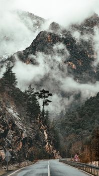 Foggy mountain road scenery in Kayseri, Türkiye showcasing rugged peaks and pine trees.