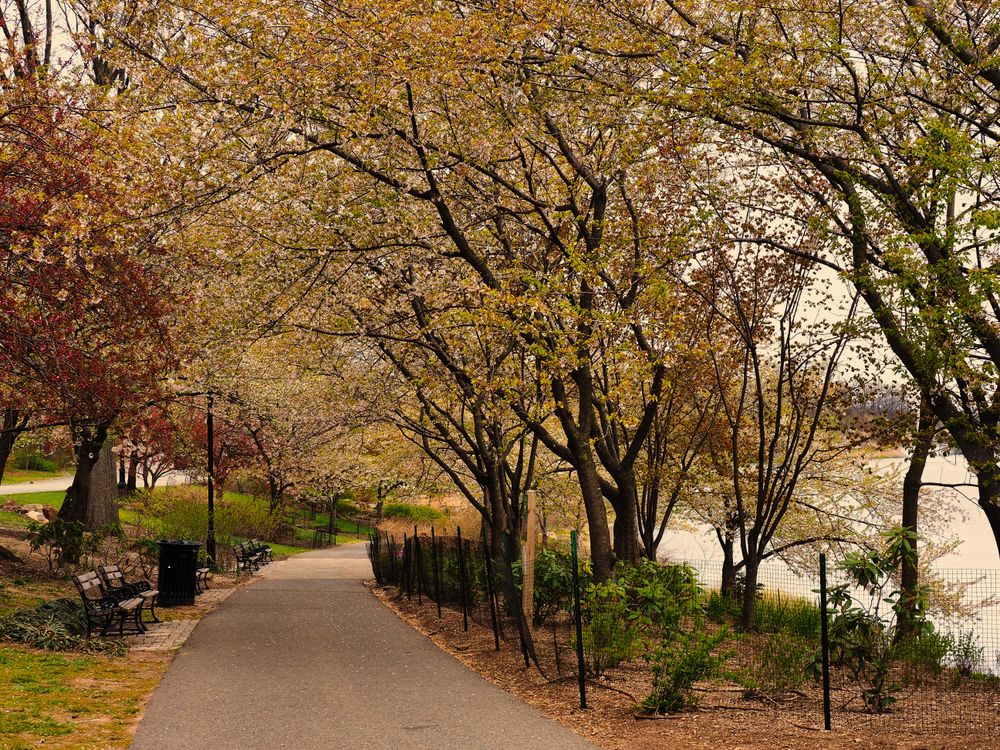 Park Row Spring Path Scenic Spring Pathway in Newark Park · Free Stock Photo