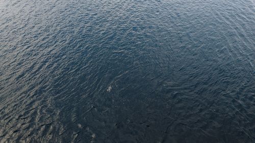Free Serene aerial shot of the sea surface near Patmos, Greece, capturing the tranquil azure waters. Stock Photo