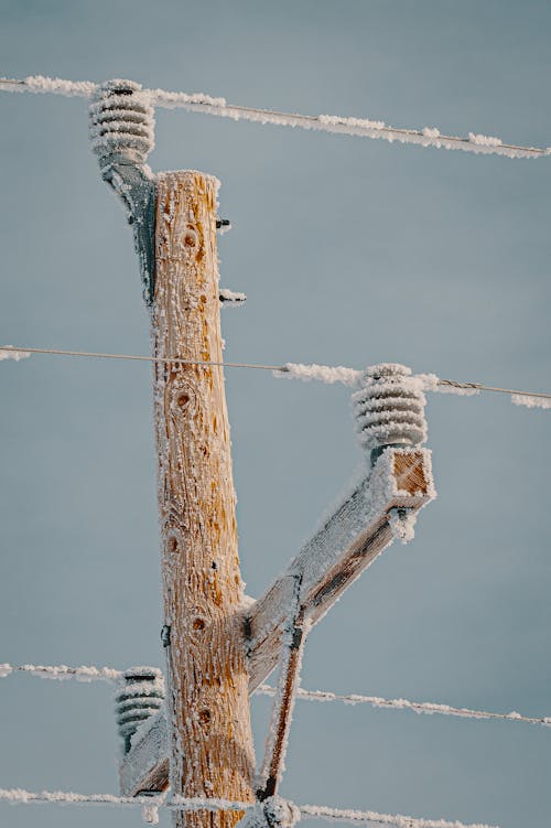 Electric Post and Wires Covered With Snow