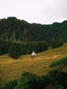 A picturesque mountain cabin nestled in a vibrant green valley surrounded by dense forest.